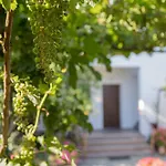 Gatzea Eden Garden Deluxe τετράκλινο *