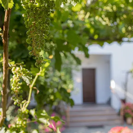 Gatzea Eden Garden Deluxe τετράκλινο *