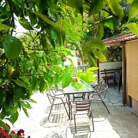 Gatzea Eden Garden Deluxe τετράκλινο