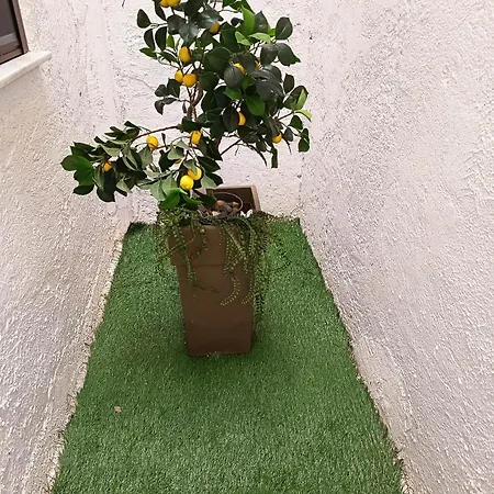 Gatzea Eden Garden Deluxe τετράκλινο Appartement Kato Gatzea